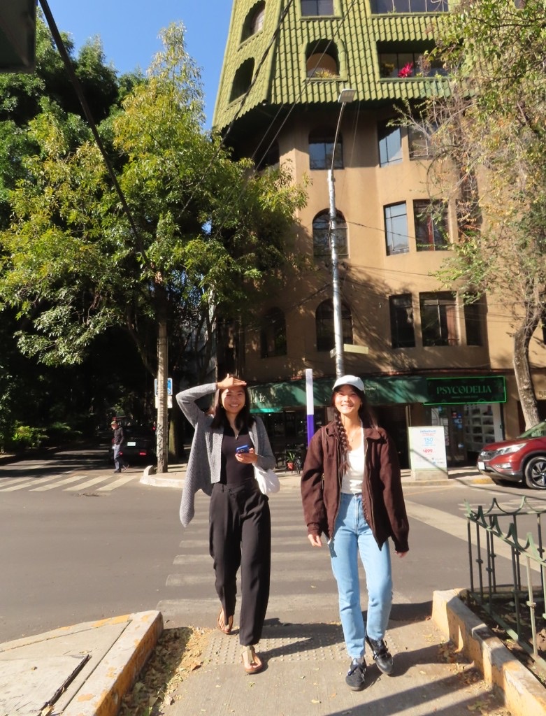 Two teammates walking a tree-lined Roma Norte street in the sun